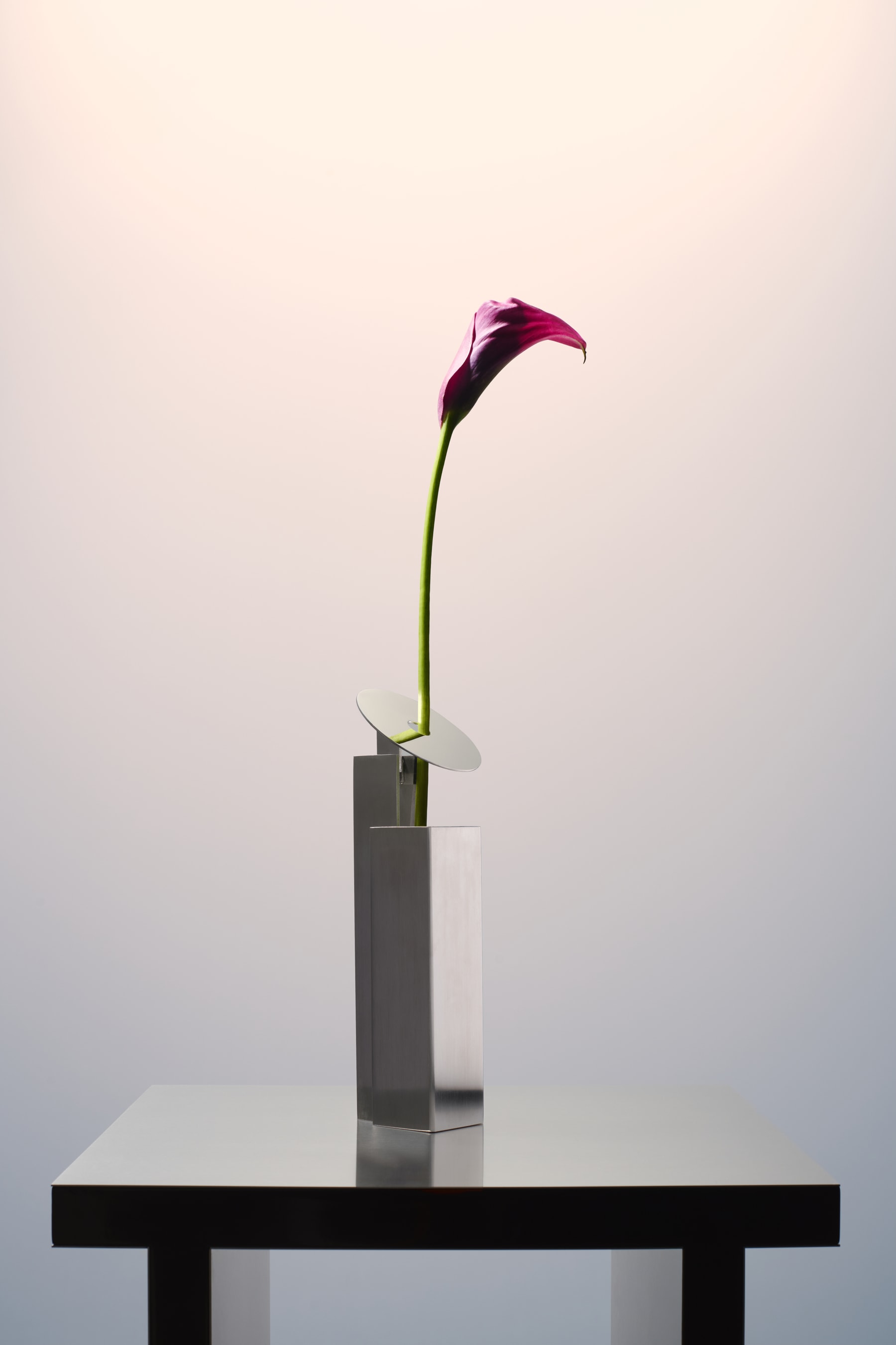 REdDUO STEM VASE Info Design Objects Homeware