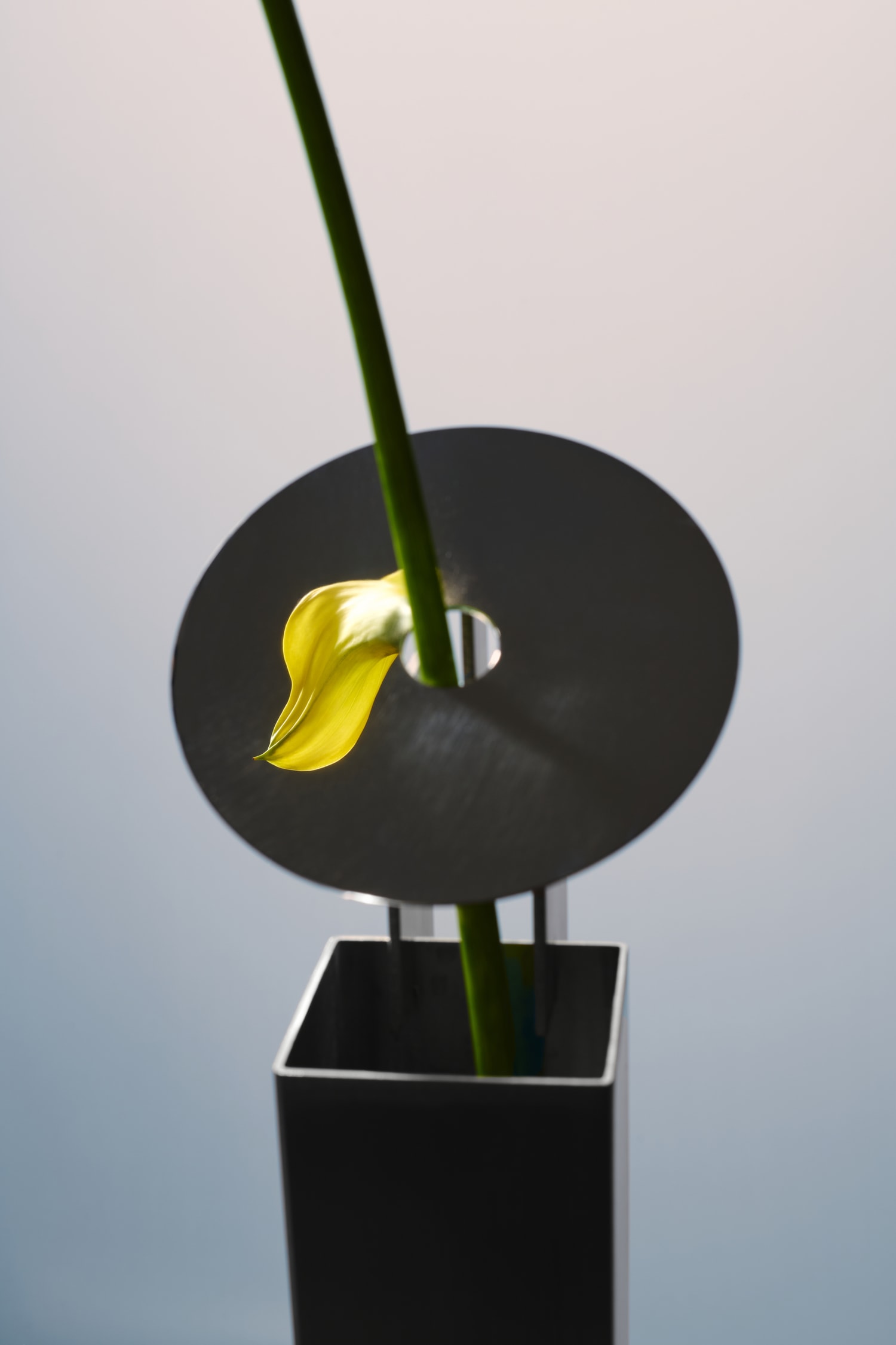 REdDUO STEM VASE Info Design Objects Homeware