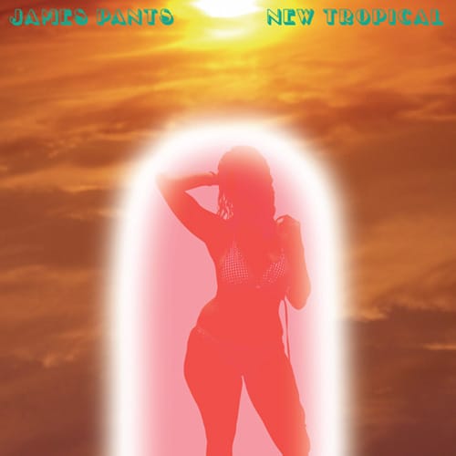 James Pants - Driftwood 