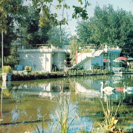 Ducktails featuring Panda Bear – Killin’ The Vibe