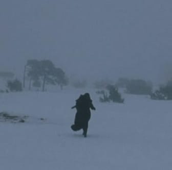 Lykke Li - I Follow Rivers