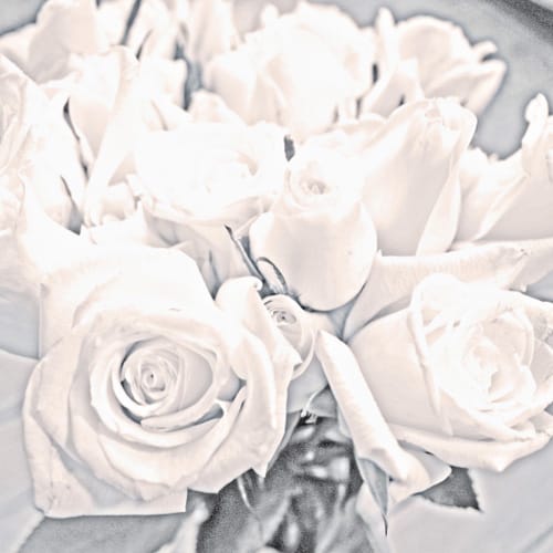 Korallreven - Shine On