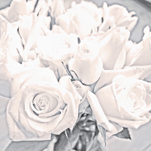 Korallreven - Shine On