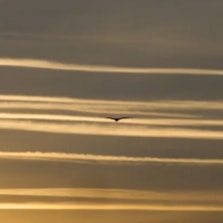 PJ Harvey - The Colour of the Earth