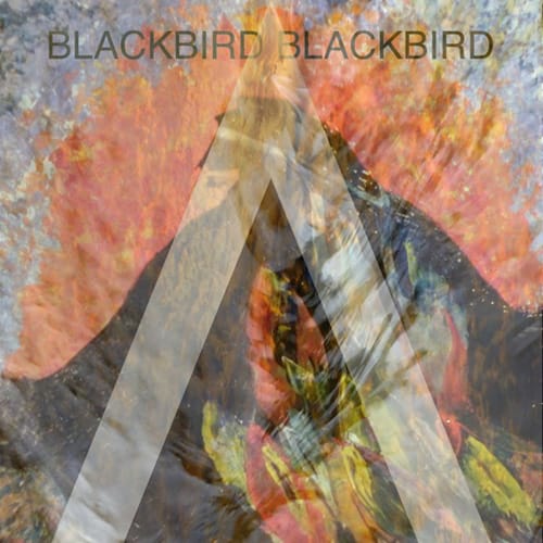 Blackbird Blackbird - Overboard