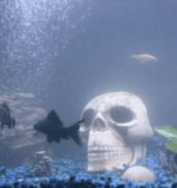 Raekwon – Ferry Boat Killaz