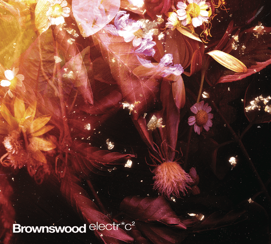 Brownswood - Brownswood Electr*c 2 (Album Teaser)