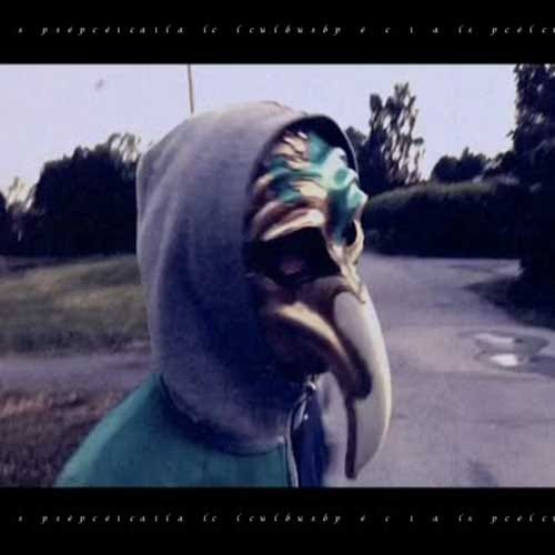 Spêcial Club - Celebris