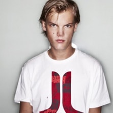 David Guetta & Avicii vs. Laidback Luke - Till Sunshine (Pixel Cheese Bootleg)