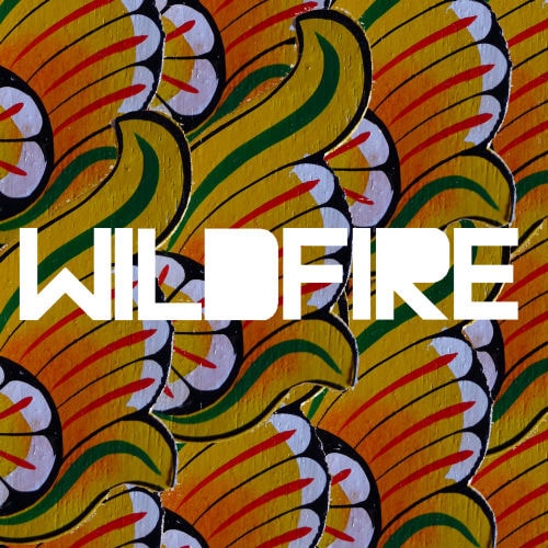 SBTRKT featuring Yukimi Nagano - Wildfire (Drumma Boy Remix featuring Shabazz Palaces)