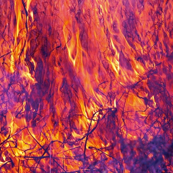 Korallreven featuring Victoria Bergsman – As Young As Yesterday (Remixes)