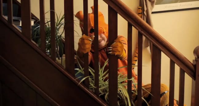 Stephen Malkmus & The Jicks - Tigers