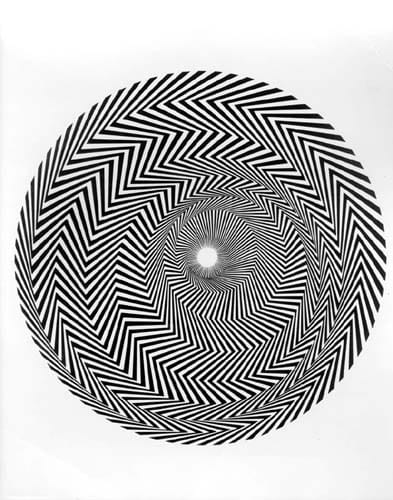 Houwadia featuring Badiaa - Trefle