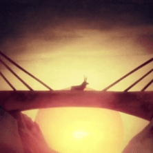 Fleet Foxes - The Shrine/An Argument