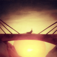 Fleet Foxes - The Shrine/An Argument