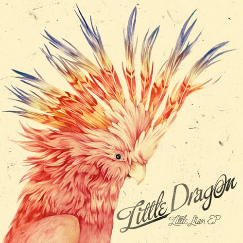 Little Dragon - Little Man (Benji Boko Remix) 