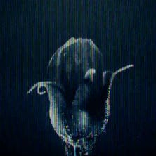 Trent Reznor & Karen O - Immigrant Song (Led Zeppelin Cover)