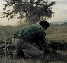 Feist - The Bad In Each Other