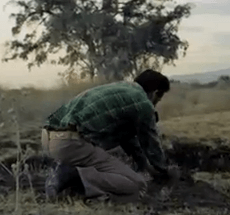 Feist - The Bad In Each Other