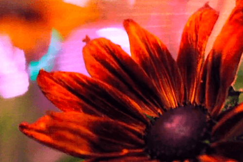 Pretty Lights - We Must Go On