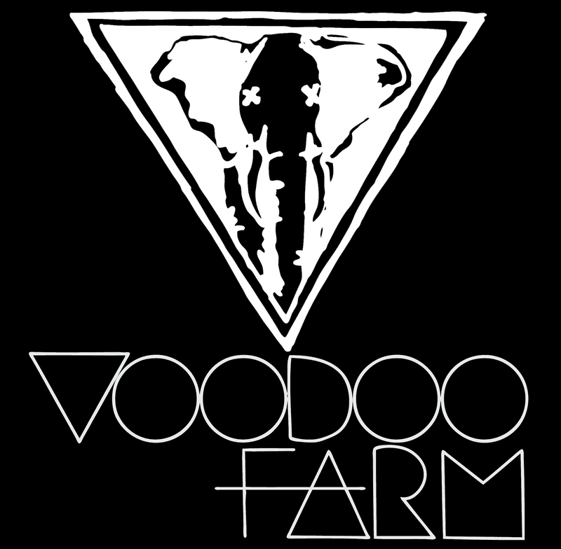 The Beatles - A Day In The Life (VOODOO FARM Remix)