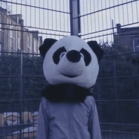 Ifan Dafydd - Treehouse