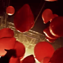 Totally Enormous Extinct Dinosaurs - Tapes & Money