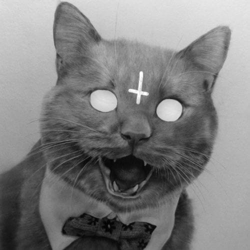 Kaskade x Headhunterz - Lessons in Love (Kid Fresh's Trapture Bootleg)