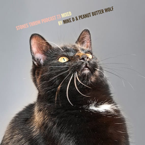 Mike D (Beastie Boys) & Peanut Butter Wolf – Stones Throw Podcast 73