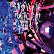 Animal Collective - Transverse Temporal Gyrus LP