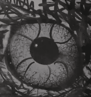 Sonnymoon - Wild Rumpus