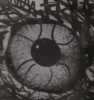 Sonnymoon - Wild Rumpus