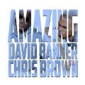 David Banner featuring Chris Brown - Amazing
