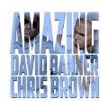 David Banner featuring Chris Brown - Amazing