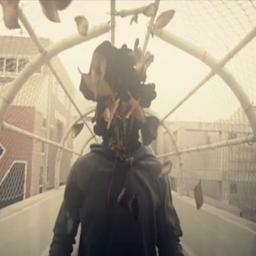 St. Lucia - Before The Dive