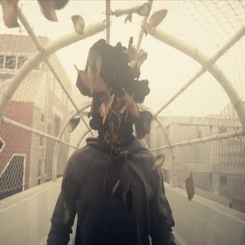 St. Lucia - Before The Dive