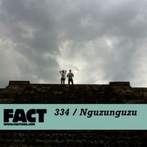FACT mix 334: Nguzunguzu