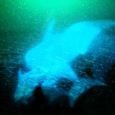 The Antlers - Drift Dive 