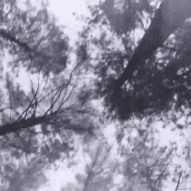 HYPETRAK Video Premiere: ANGO - Paralyzed  