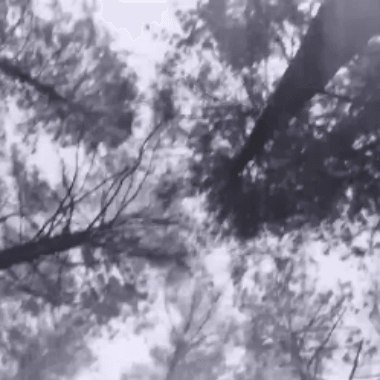 HYPETRAK Video Premiere: ANGO - Paralyzed