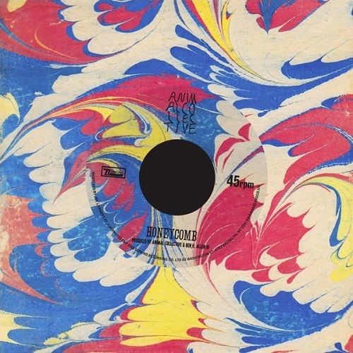 Animal Collective's Studio Session for KEXP Radio