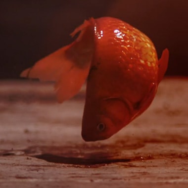 Sigur Rós - Ég Anda