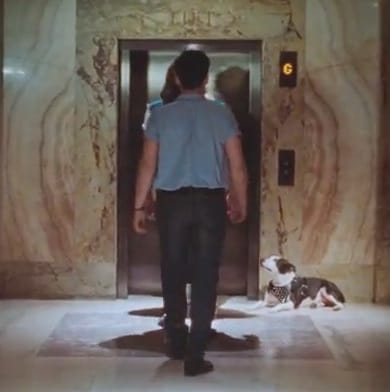 The Vaccines - Teenage Icon 