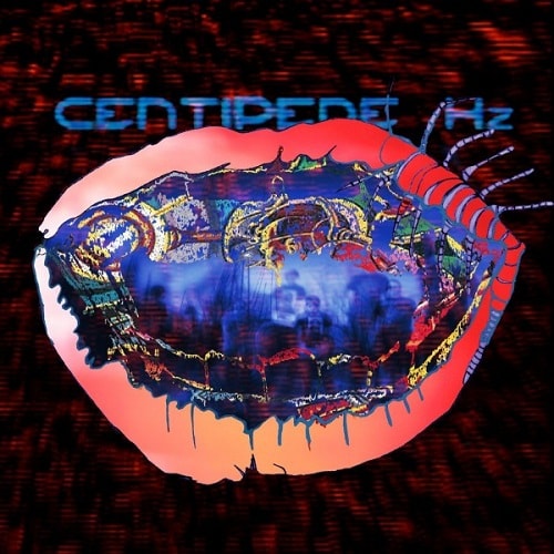 Animal Collective - Centipede (Full Album Stream)
