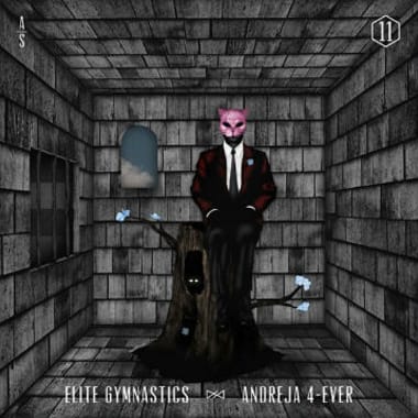 Elite Gymnastics - Andreja 4-Ever