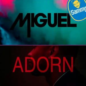 Miguel - Adorn (Sammy Bananas Bootleg)