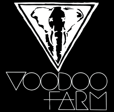 Wiz Khalifa featuring The Weeknd - Remember You (VOODOO FARM Club Remix) 