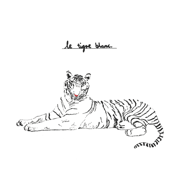 Robert Raimon Roy - Dookie (Lyric Video)