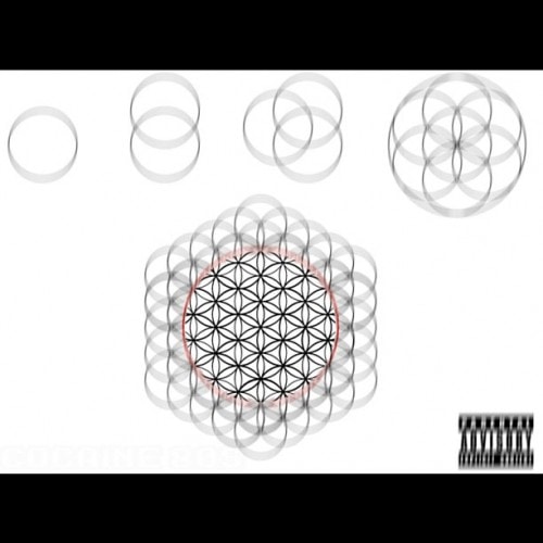 Cocaine 80s – Lucid