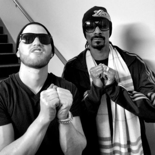 Snoop Lion featuring Mike Posner - Lighters Up (Remix)